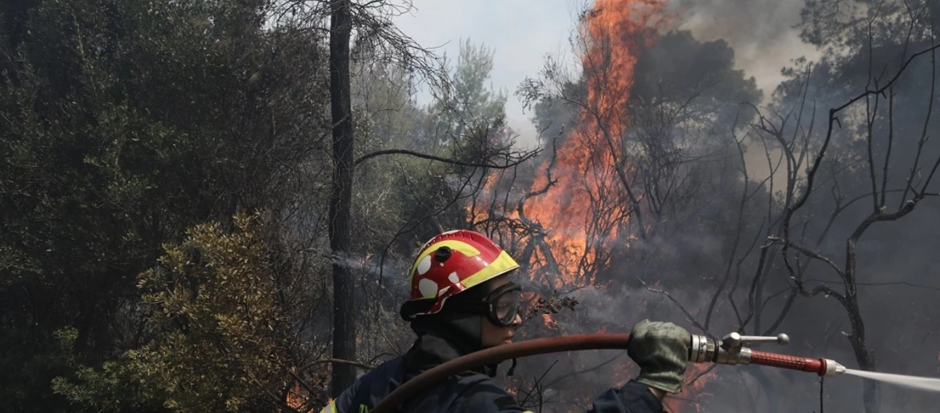 Εντολή εκκένωσης του Αλεποχωρίου - Πλησιάζει στο χωριό η φωτιά (βίντεο)
